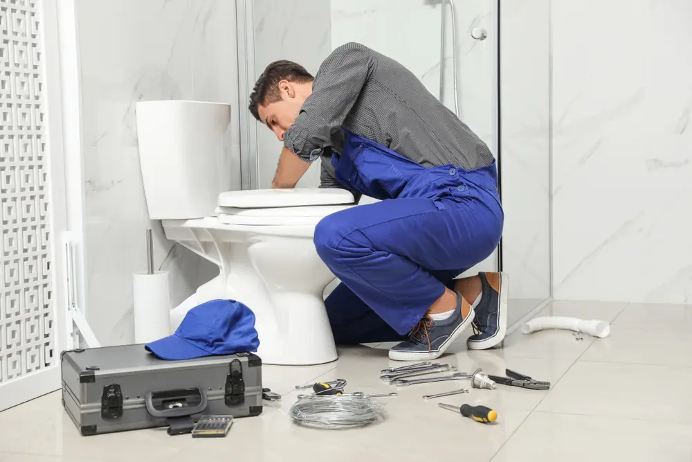 Toilet Repair in Airport Heights